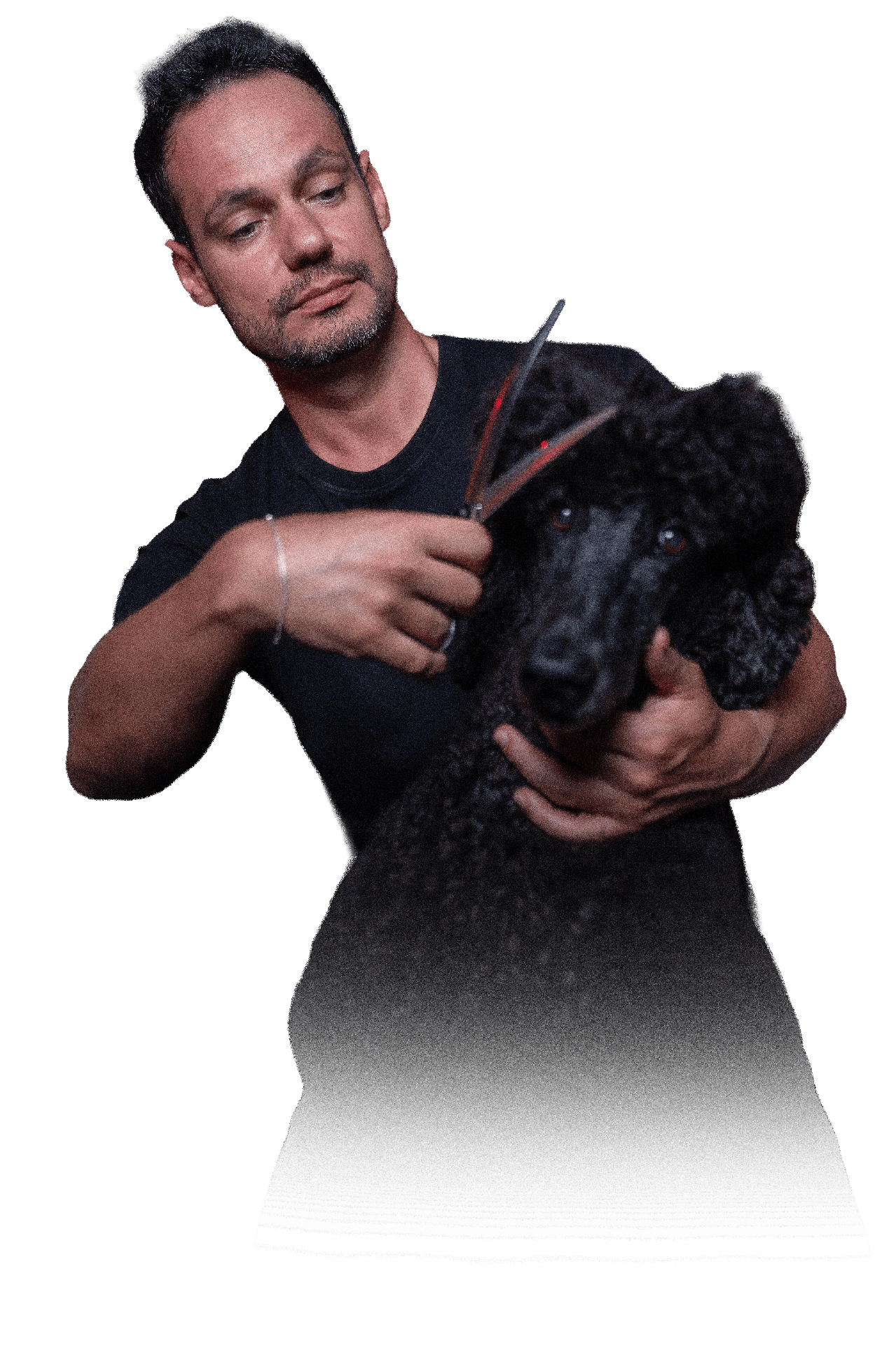 Renato Leiva ensinando técnicas de grooming